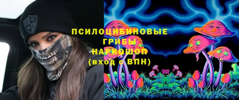 Псилоцибиновые грибы Cubensis  купить закладку  Малаховка 